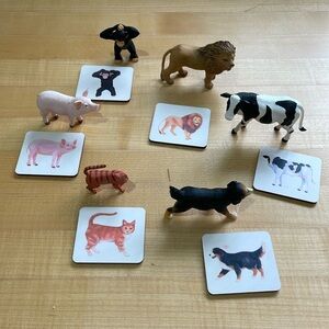 Beautiful Lovevery animal figurines and matching wooden cards